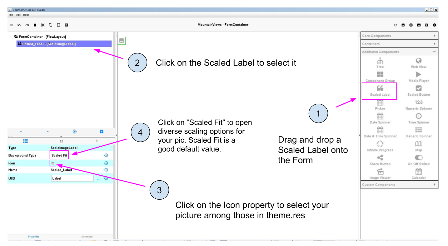 Dragging a Scaled Label onto the Form and adding a Picture